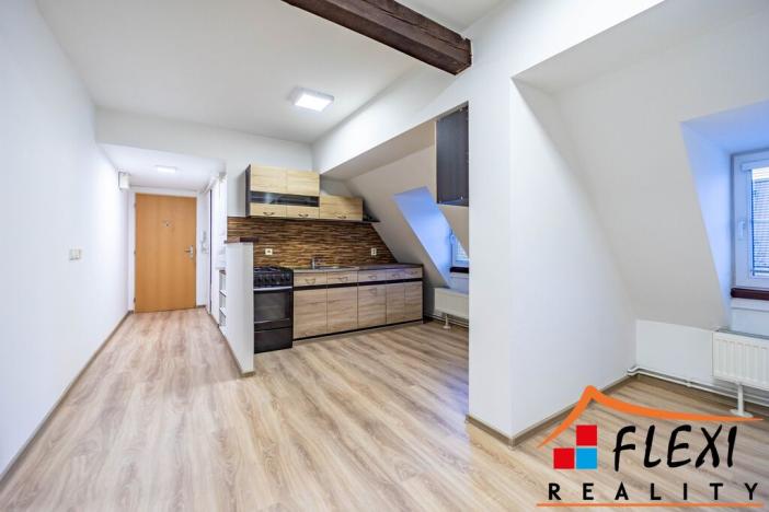 Pronájem bytu 1+1, Opava - Předměstí, Těšínská, 41 m2