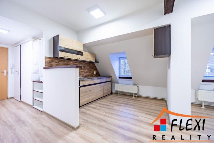 Pronájem bytu 1+1, Opava - Předměstí, Těšínská, 41 m2