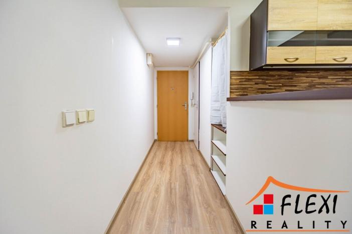 Pronájem bytu 1+1, Opava - Předměstí, Těšínská, 41 m2