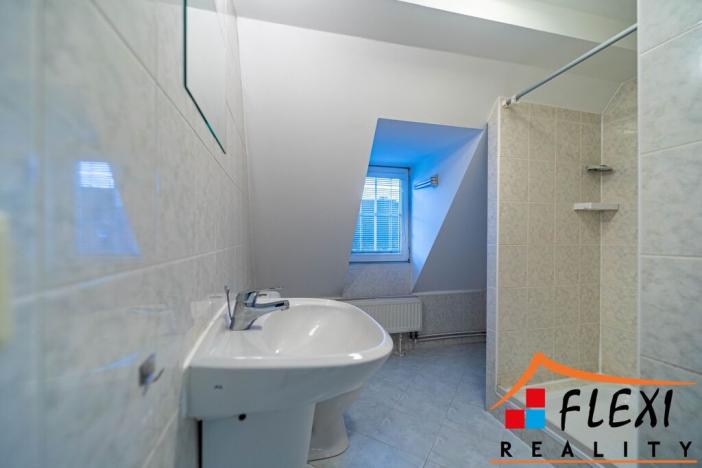 Pronájem bytu 1+1, Opava - Předměstí, Těšínská, 41 m2