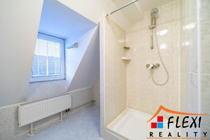 Pronájem bytu 1+1, Opava - Předměstí, Těšínská, 41 m2