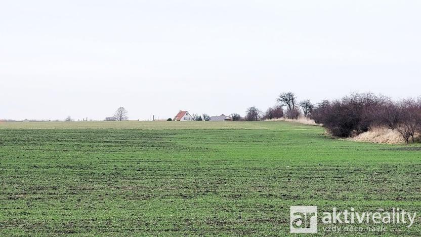 Prodej pole, Kostelec nad Labem - Jiřice, 11950 m2