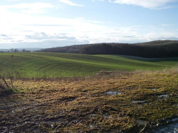 Prodej rodinného domu, Prusy-Boškůvky, 75 m2