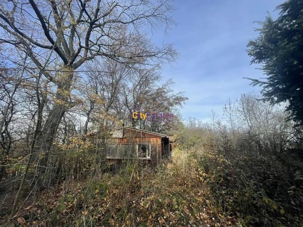 Prodej louky, Popovičky, 1643 m2