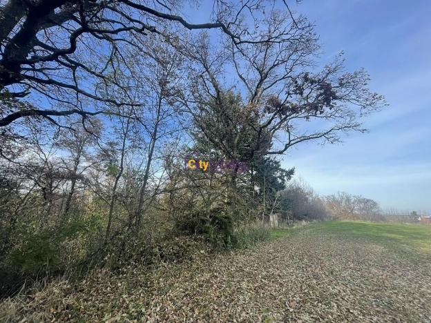 Prodej louky, Popovičky, 1643 m2