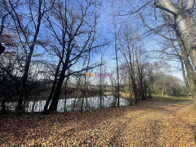 Prodej louky, Popovičky, 1643 m2