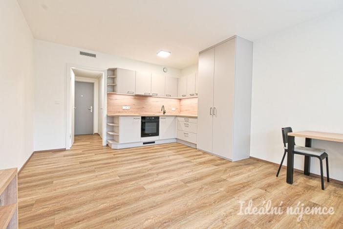 Pronájem bytu 1+kk, Brno, Bystrcká, 36 m2