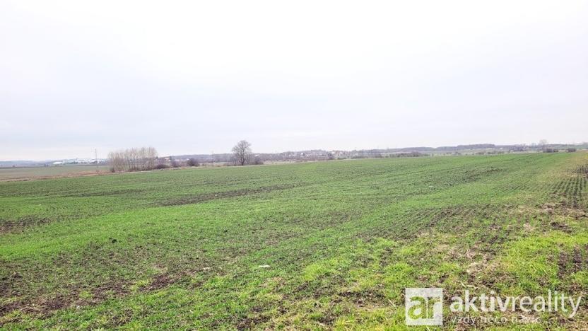 Prodej pole, Kostelec nad Labem - Jiřice, 7464 m2
