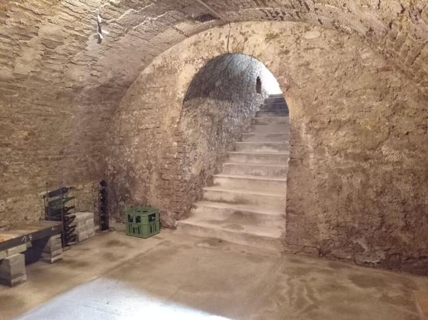 Prodej vinného sklepa, Drnholec, 60 m2