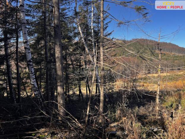 Prodej pozemku pro bydlení, Chvalčov, 3129 m2