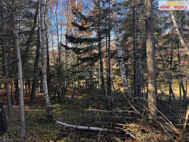 Prodej pozemku pro bydlení, Chvalčov, 3129 m2