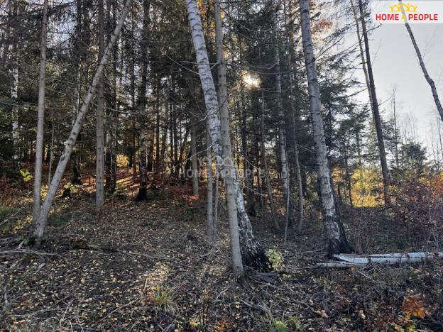 Prodej pozemku pro bydlení, Chvalčov, 3129 m2