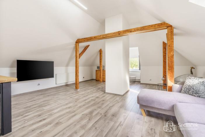 Prodej apartmánu, Krajková, 250 m2