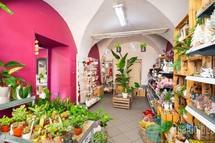 Prodej vícegeneračního domu, Trhové Sviny, Žižkovo náměstí, 340 m2