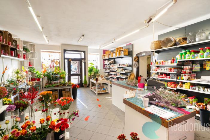 Prodej vícegeneračního domu, Trhové Sviny, Žižkovo náměstí, 340 m2