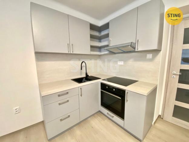 Pronájem bytu 1+kk, Opava - Předměstí, Na Rybníčku, 25 m2