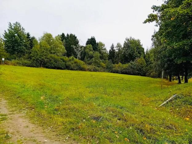 Prodej louky, Herálec, 35197 m2