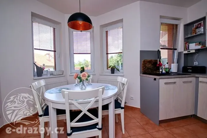 Dražba rodinného domu, Pardubice, 28. října, 156 m2