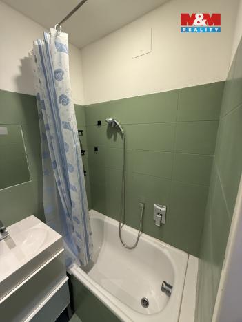 Pronájem bytu 1+kk, Plzeň, Vrchlického, 27 m2