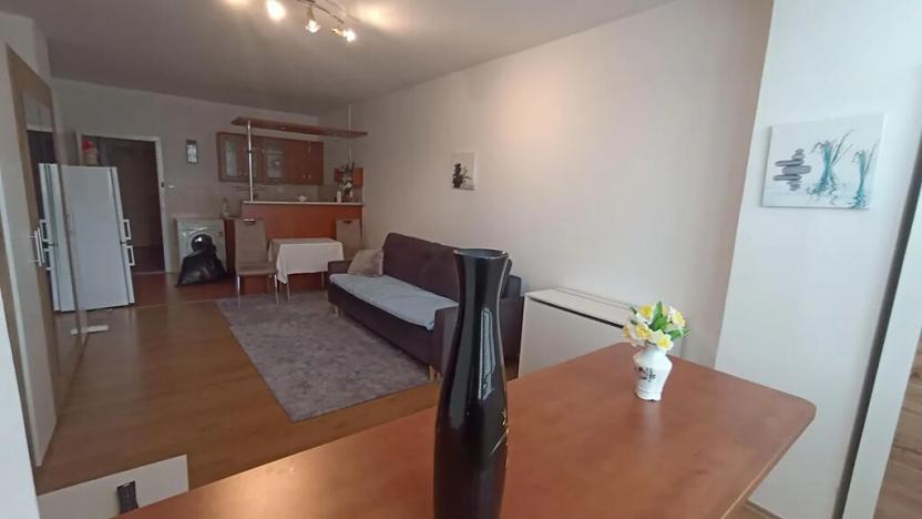 Pronájem bytu 1+kk, Teplice, U divadla, 38 m2