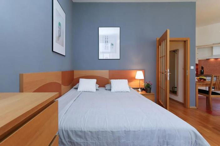 Pronájem bytu 1+kk, Praha - Vinohrady, Sázavská, 35 m2