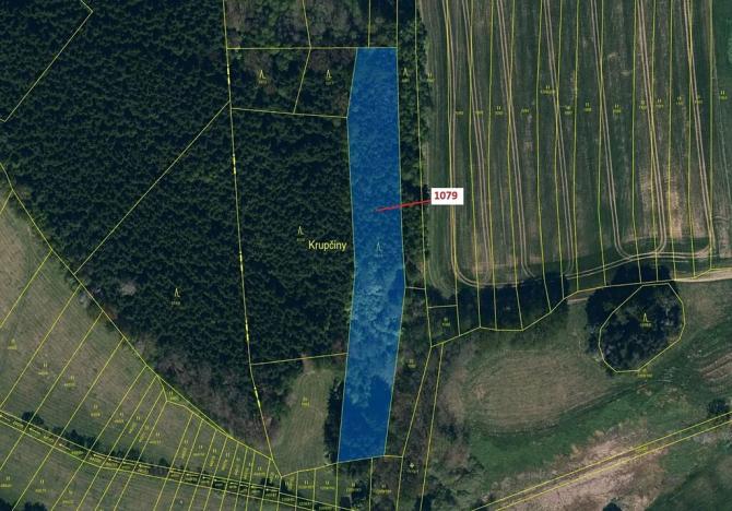 Dražba lesa, Žirovnice, 5041 m2