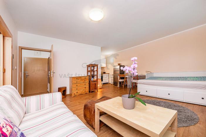 Prodej bytu 1+kk, Praha - Libeň, Braunerova, 41 m2