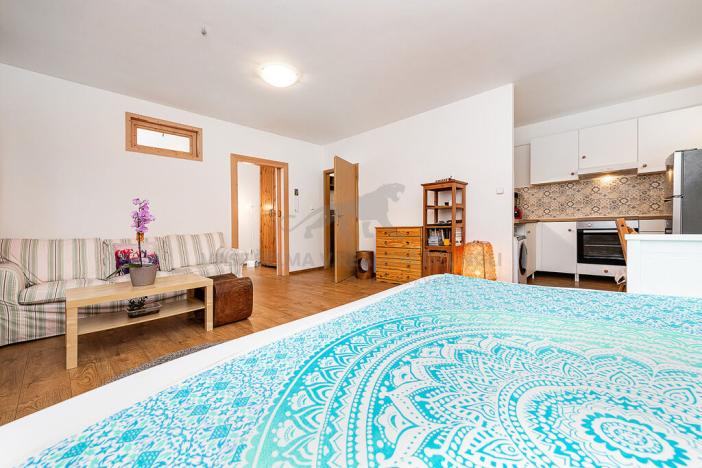 Prodej bytu 1+kk, Praha - Libeň, Braunerova, 41 m2