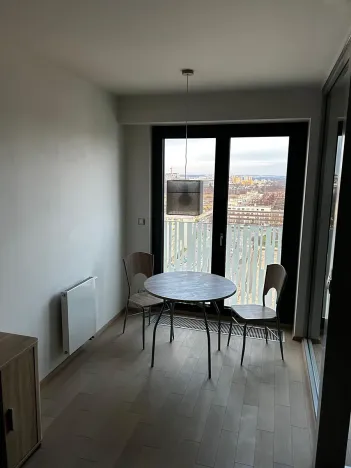 Pronájem bytu 1+kk, Praha - Žižkov, Olšanská, 36 m2