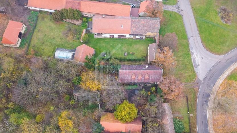 Prodej pozemku, Třebíz, 161602 m2