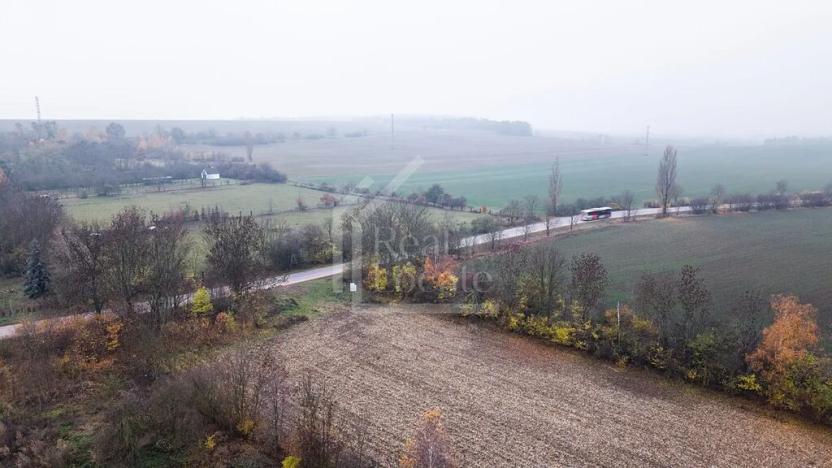 Prodej pozemku, Třebíz, 161602 m2