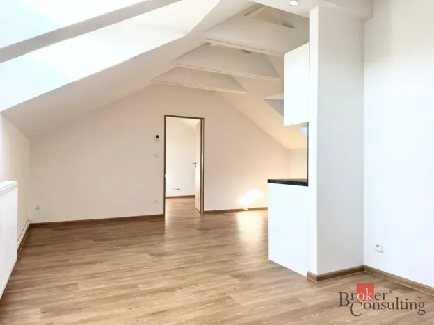 Pronájem bytu 2+kk, Opava - Předměstí, Mařádkova, 55 m2