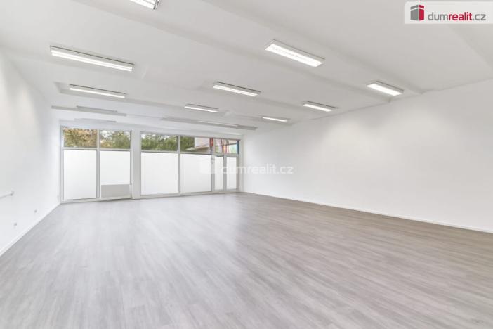 Prodej obchodního prostoru, Ústí nad Labem - Ústí nad Labem-centrum, SNP, 191 m2