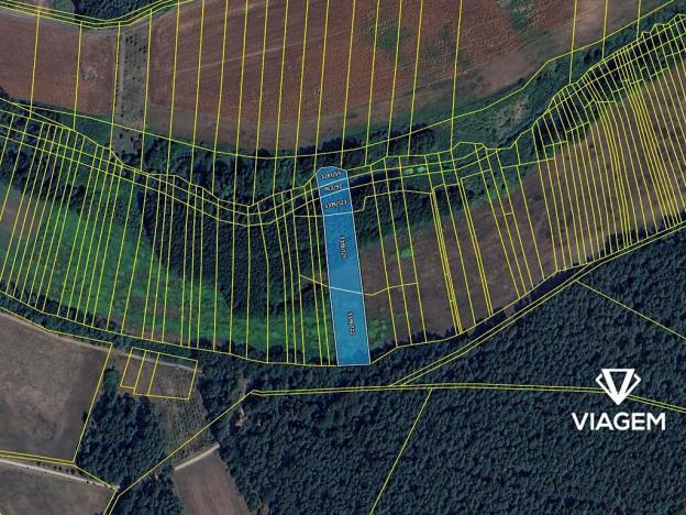Prodej podílu pole, Ratíškovice, 1370 m2