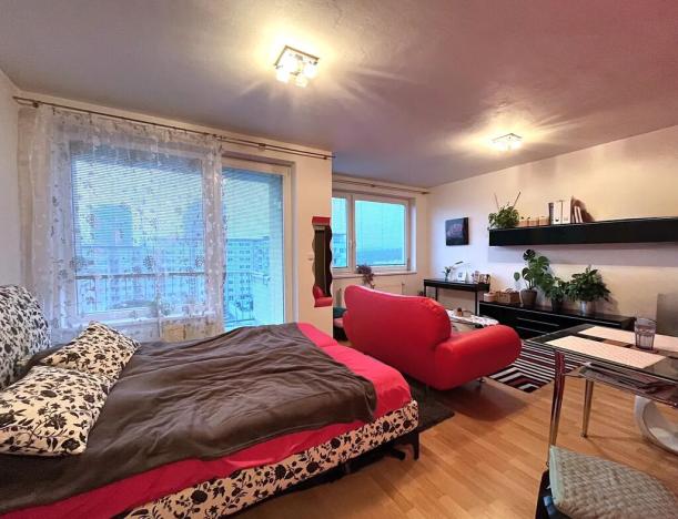 Pronájem bytu 1+kk, Brno, Dusíkova, 40 m2