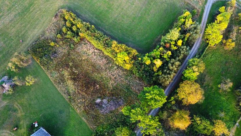 Prodej pozemku pro bydlení, Česká Skalice, 2713 m2