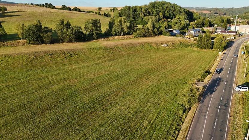 Prodej komerčního pozemku, Otovice, 11425 m2