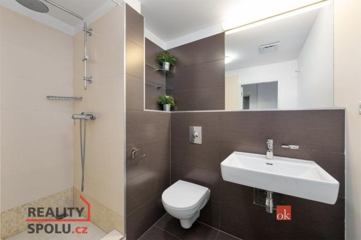 Pronájem bytu 2+kk, Praha - Smíchov, Švédská, 42 m2