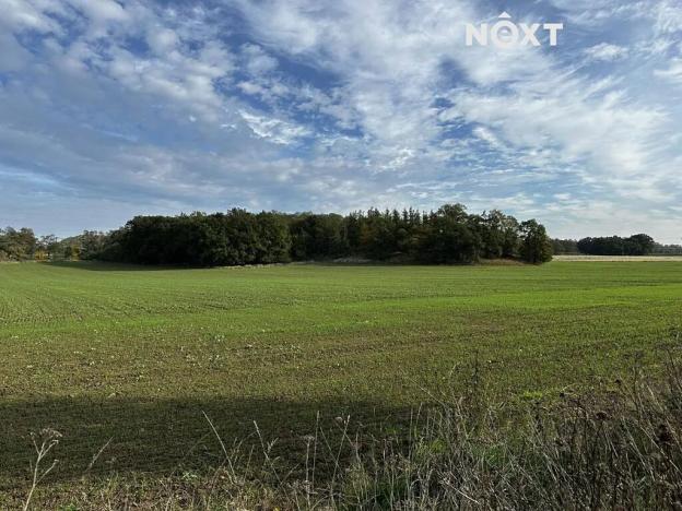 Prodej komerčního pozemku, Veltrusy, 36520 m2