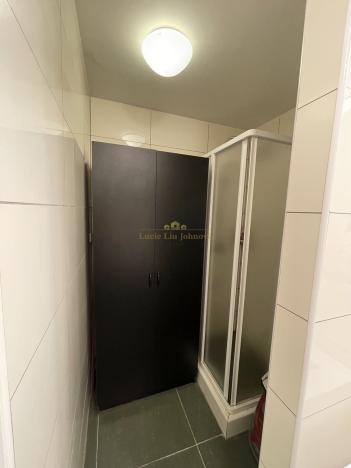 Prodej bytu 1+kk, Praha - Žižkov, Přemyslovská, 38 m2