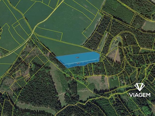 Prodej pole, Zlatá Olešnice, 11045 m2