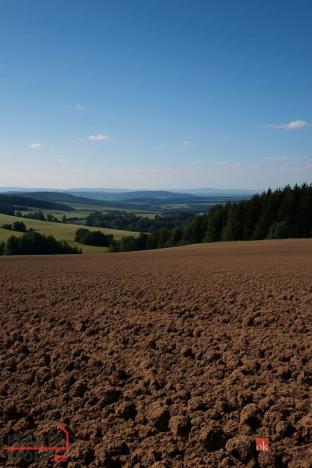 Prodej pole, Bohdašín, 54810 m2