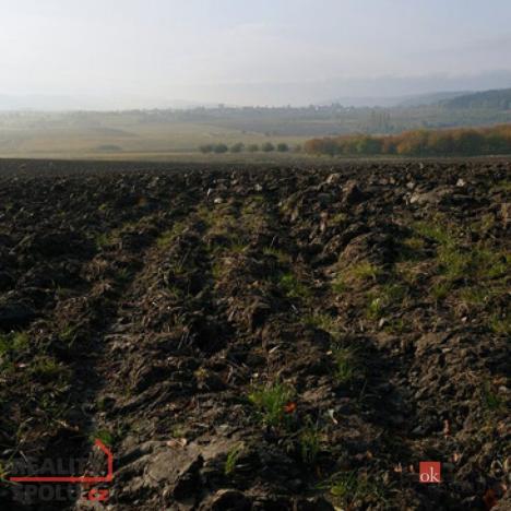 Prodej pole, Bohdašín, 54810 m2
