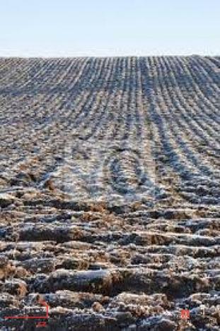 Prodej pole, Bohdašín, 54810 m2