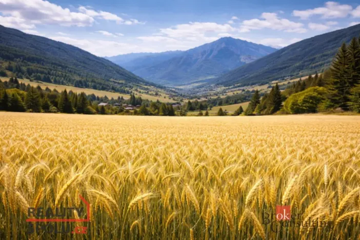 Prodej pole, Bohdašín, 54810 m2