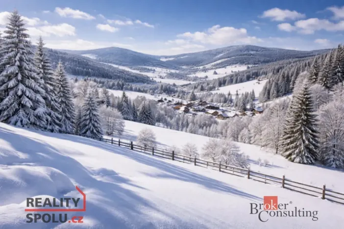 Prodej pole, Bohdašín, 54810 m2