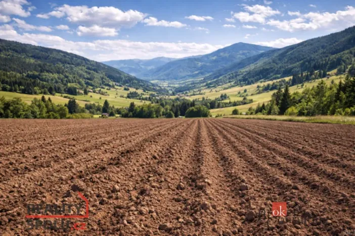 Prodej pole, Bohdašín, 54810 m2