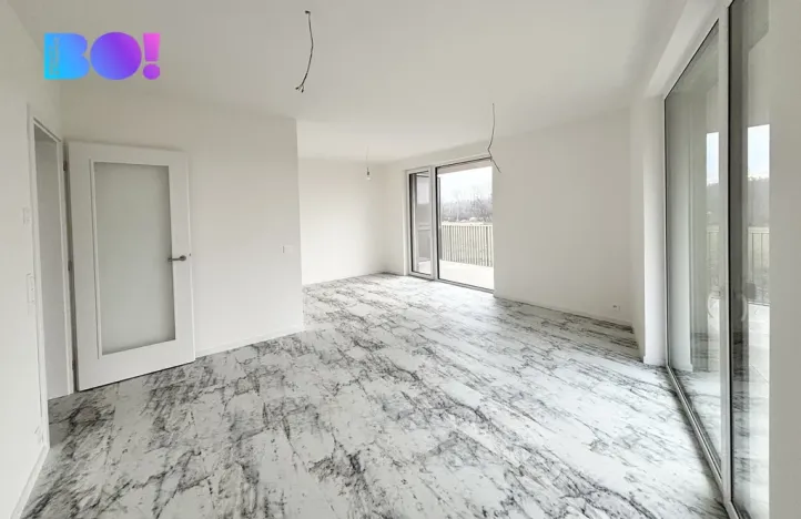 Pronájem bytu 2+kk, Ostrava, F. X. Riepla, 54 m2