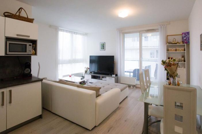 Pronájem bytu 2+kk, České Budějovice - České Budějovice 3, Klaricova, 63 m2