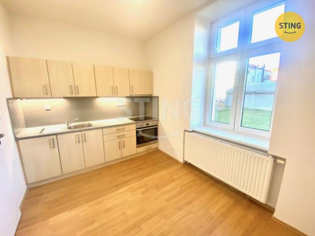 Pronájem bytu 1+1, Opava - Předměstí, Anenská, 40 m2